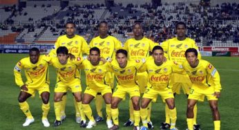 Nuevos leones marquenses