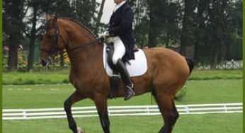 Este es el calendario de eventos del deporte federado