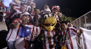 Los conejos van al calor herediano