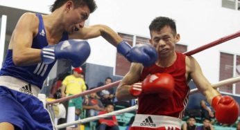 Puños de oro en el boxeo nacional