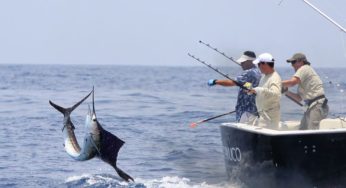 Guatemala es sede del Torneo Internacional de Pesca