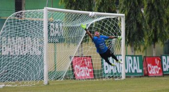 (((VIDEO))) Mira aquí los goles de la máquina celeste ante los pecho amarillo
