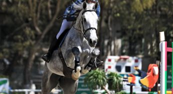 Ecuestres realizó su Campeonato Nacional de Salto