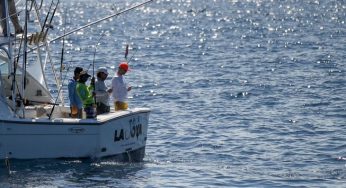 Pesca Deportiva entra en acción este 2023