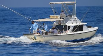 Sechel continúa líder del Nacional de Pez Vela