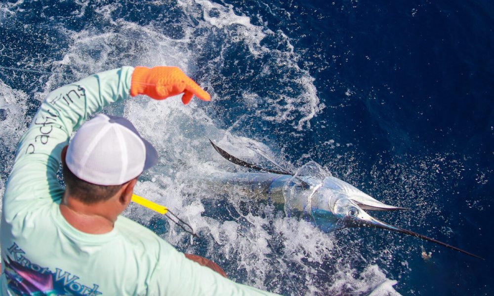 pesca de pez vela